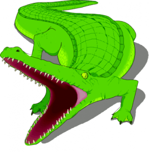 alligator