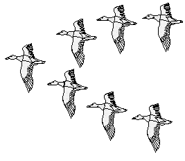 ducks_fly_in_v