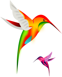 Colibri_hummingbird